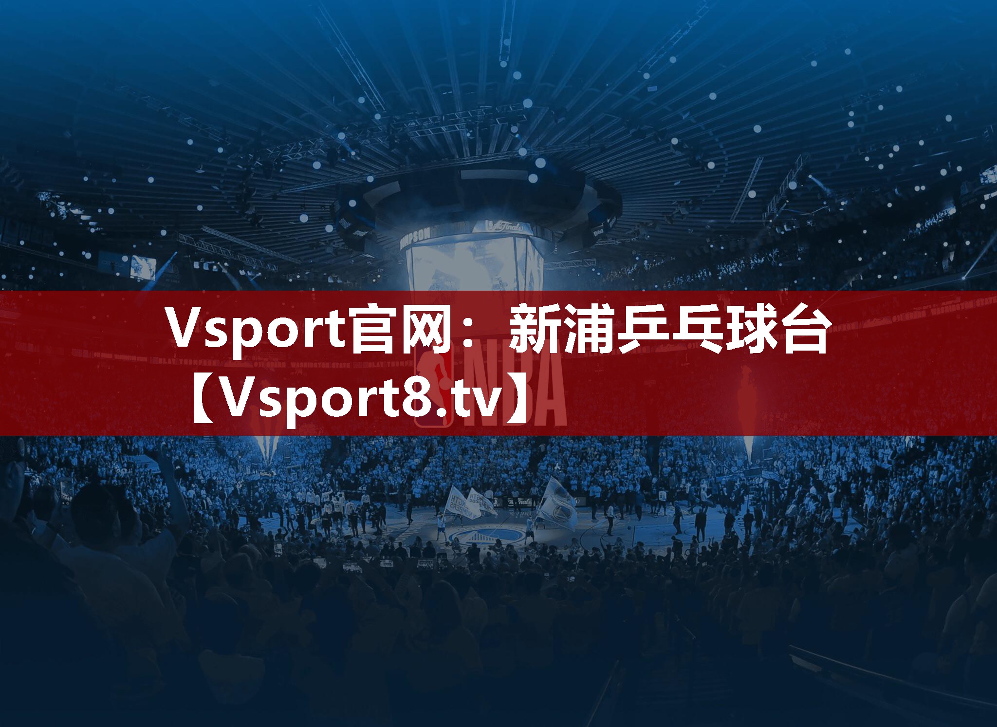 Vsport官网：新浦乒乓球台