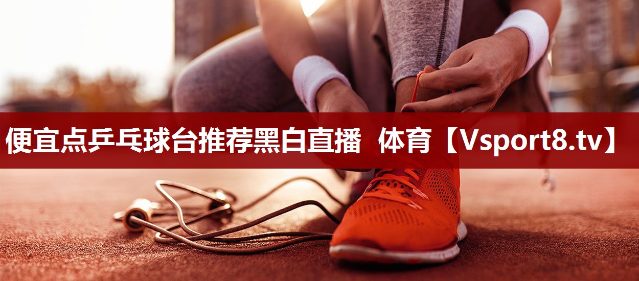 便宜点乒乓球台推荐黑白直播 体育
