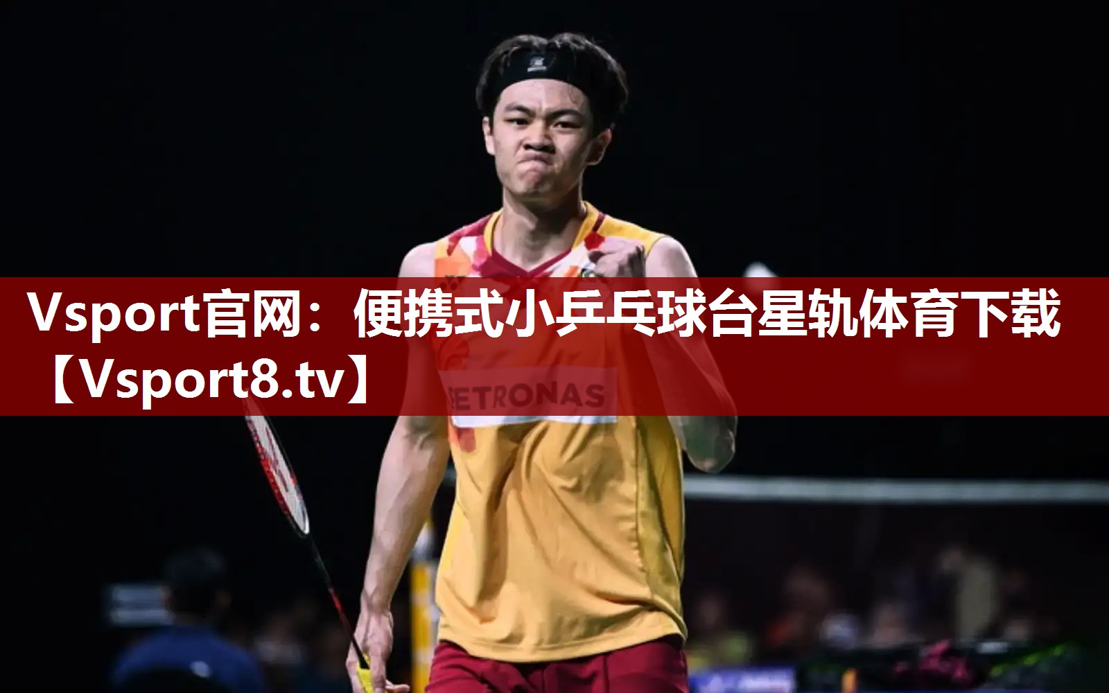 Vsport官网：便携式小乒乓球台星轨体育下载