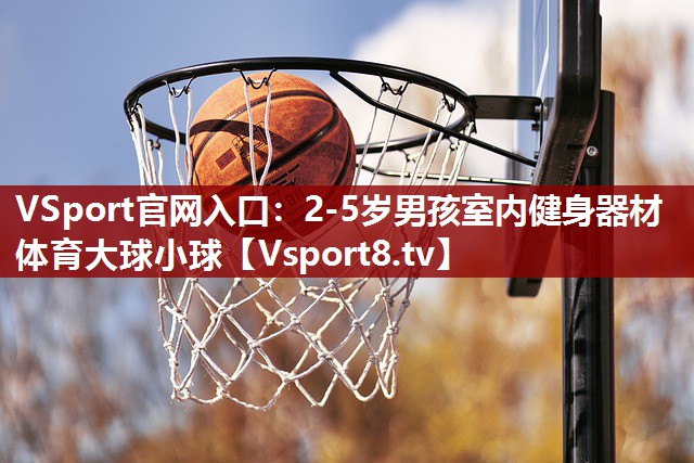 VSport官网入口：2-5岁男孩室内健身器材体育大球小球