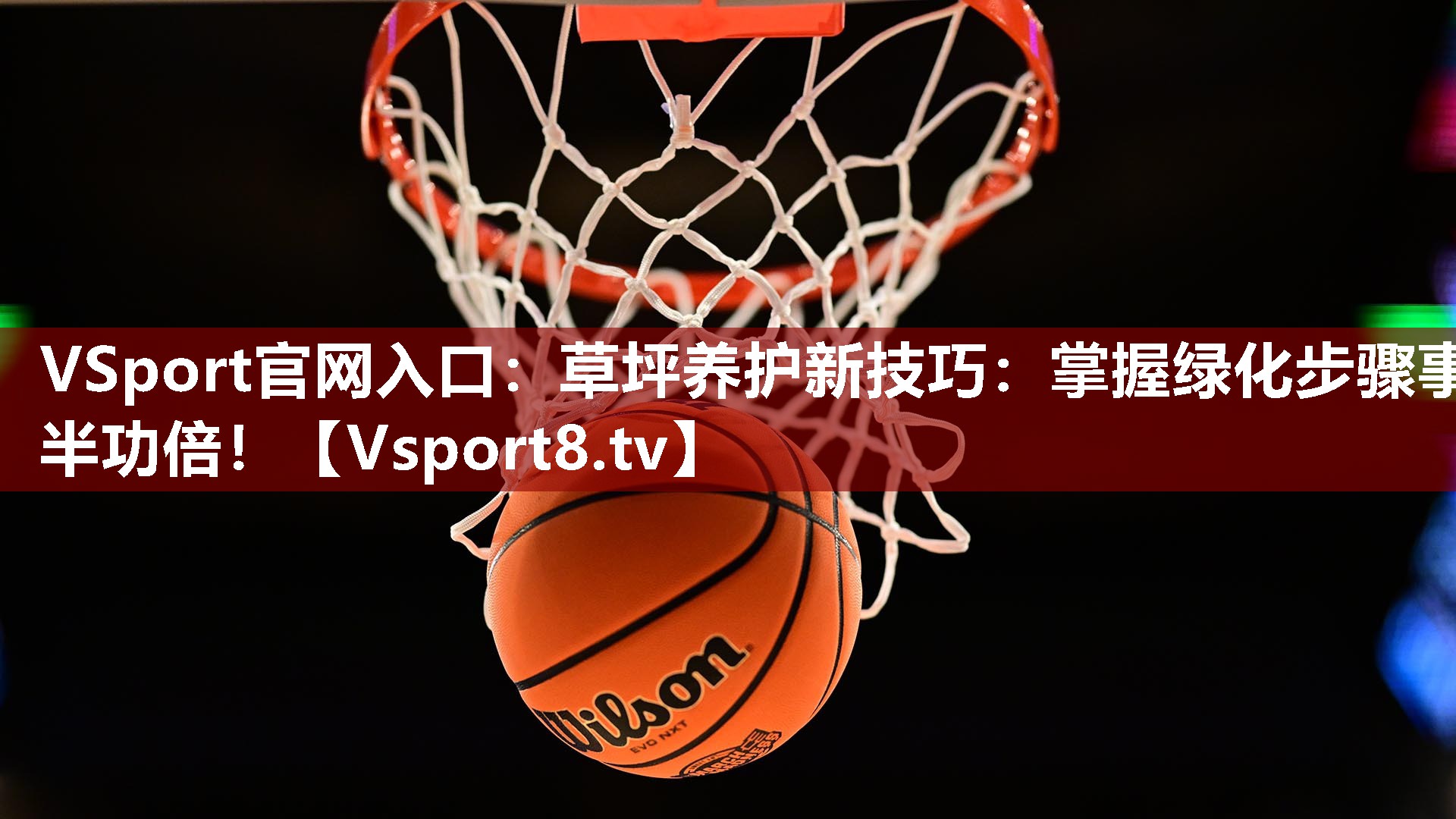 VSport官网入口：草坪养护新技巧：掌握绿化步骤事半功倍！