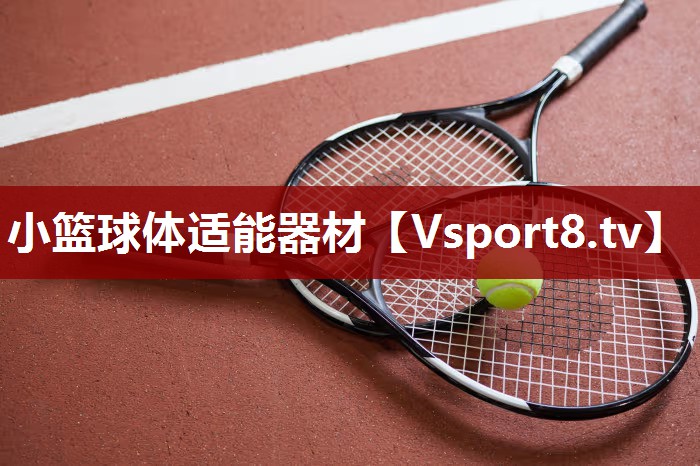 小篮球体适能器材