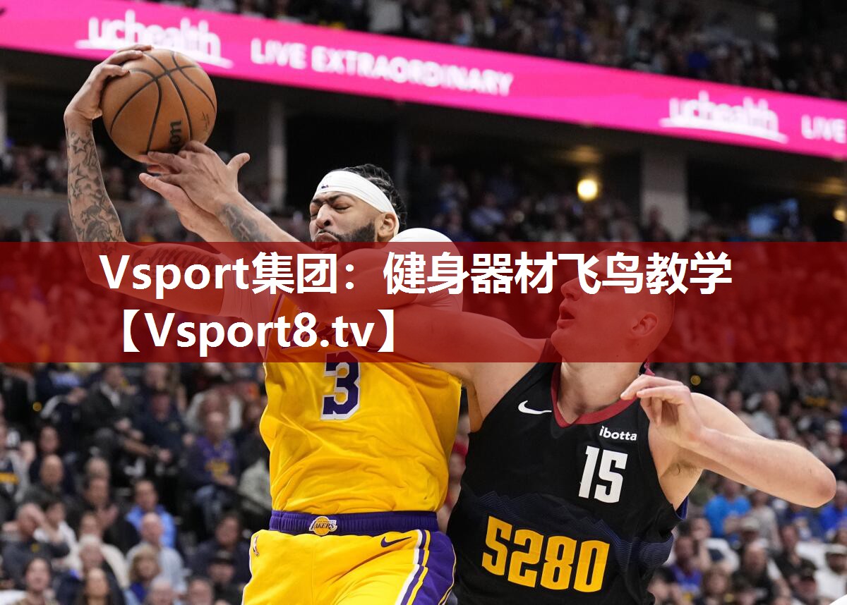 Vsport集团：健身器材飞鸟教学