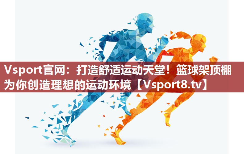 Vsport官网：打造舒适运动天堂！篮球架顶棚为你创造理想的运动环境