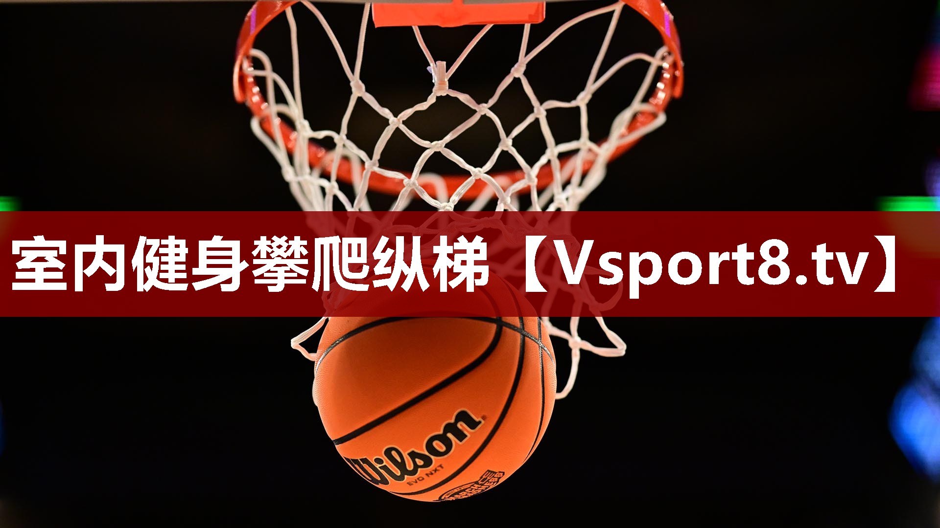 室内健身攀爬纵梯