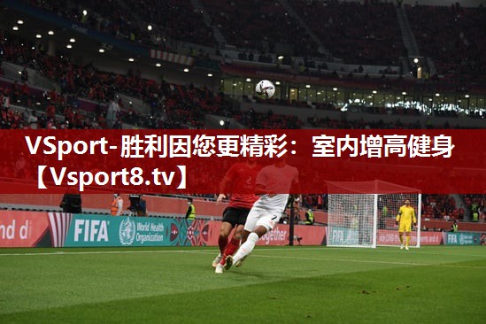 VSport-胜利因您更精彩：室内增高健身