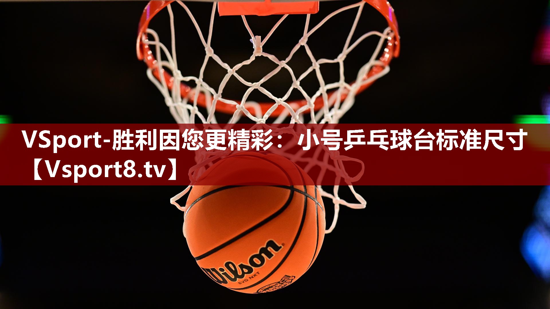 VSport-胜利因您更精彩：小号乒乓球台标准尺寸