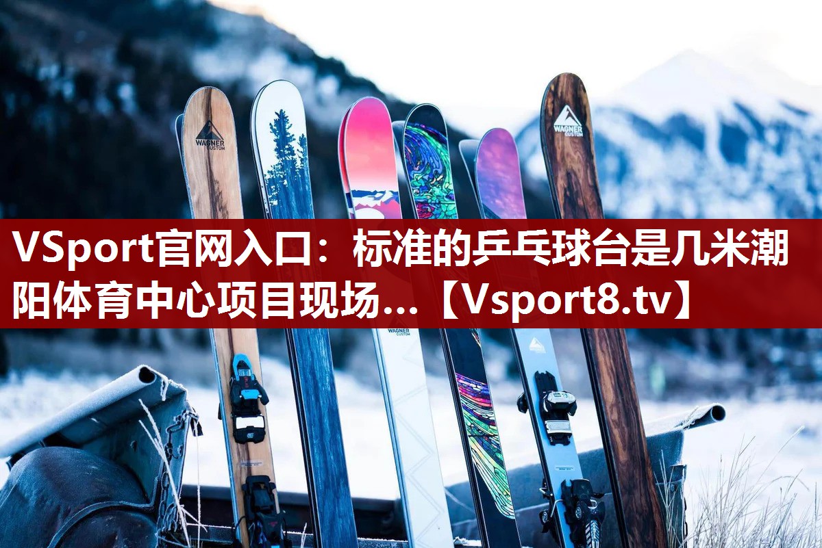 VSport官网入口：标准的乒乓球台是几米潮阳体育中心项目现场…