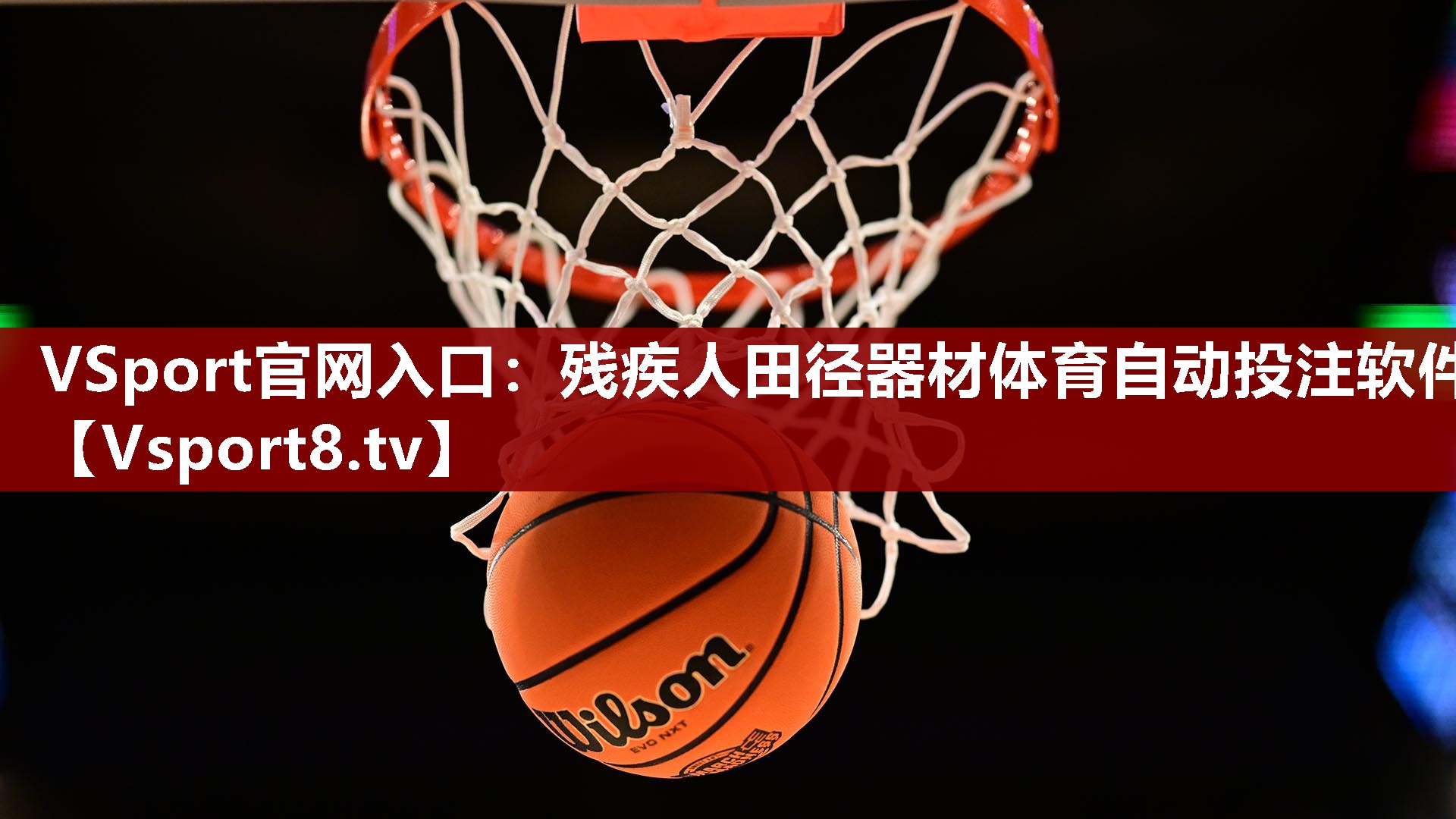 VSport官网入口：残疾人田径器材体育自动投注软件
