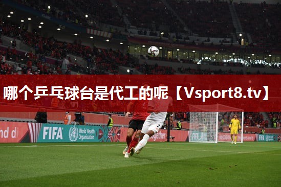 哪个乒乓球台是代工的呢
