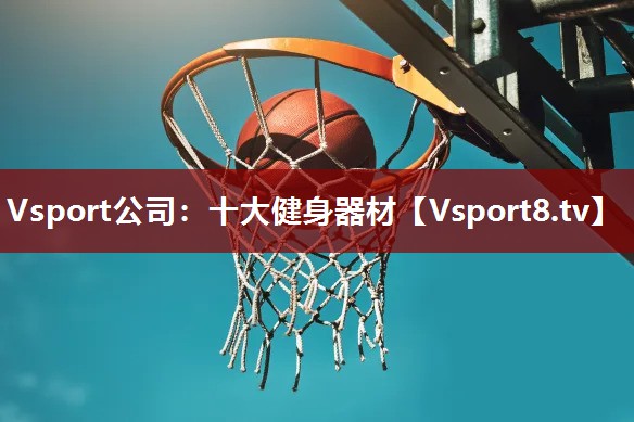 Vsport公司：十大健身器材