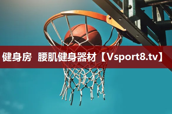 健身房 腰肌健身器材