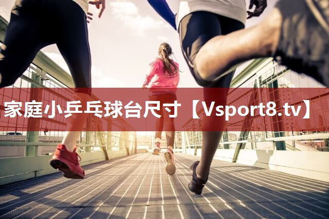 家庭小乒乓球台尺寸
