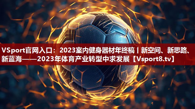 VSport官网入口：2023室内健身器材年终稿丨新空间、新思路、新蓝海——2023年体育产业转型中求发展