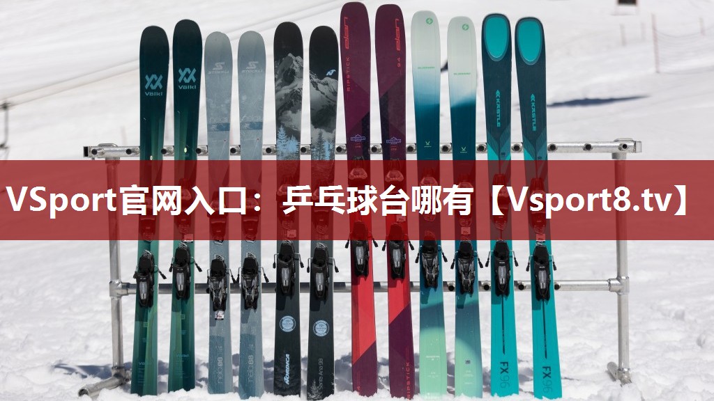 VSport官网入口：乒乓球台哪有