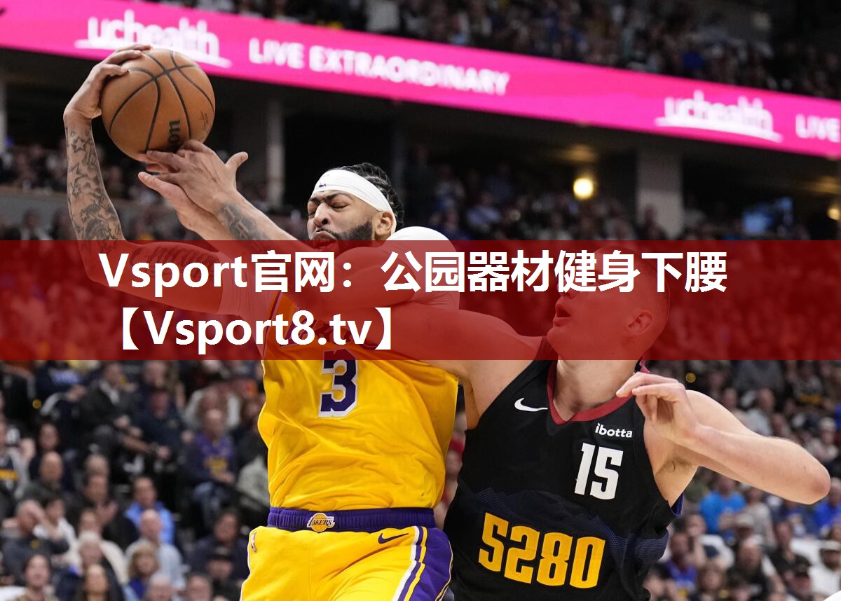 Vsport官网：公园器材健身下腰