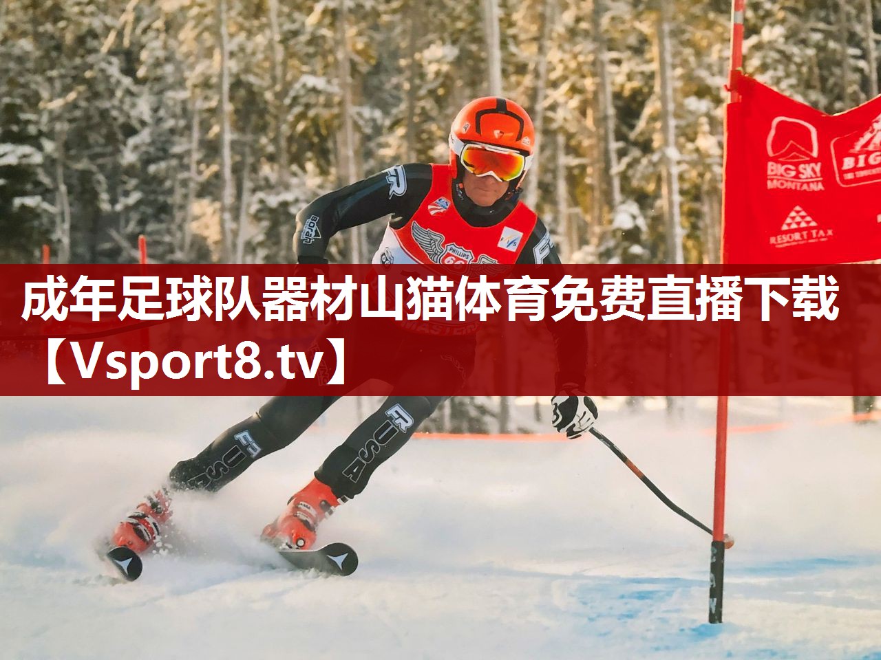 成年足球队器材山猫体育免费直播下载