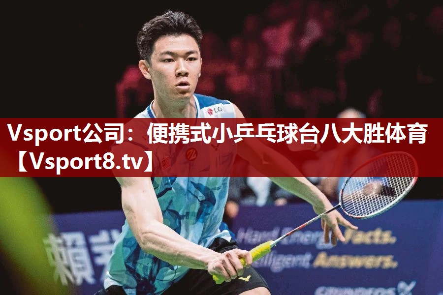 Vsport公司：便携式小乒乓球台八大胜体育