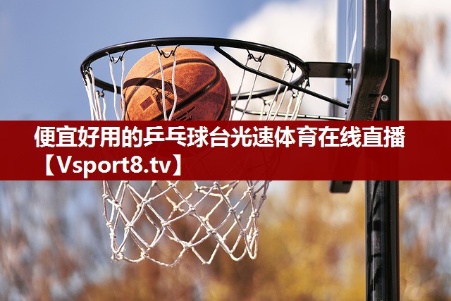 便宜好用的乒乓球台光速体育在线直播