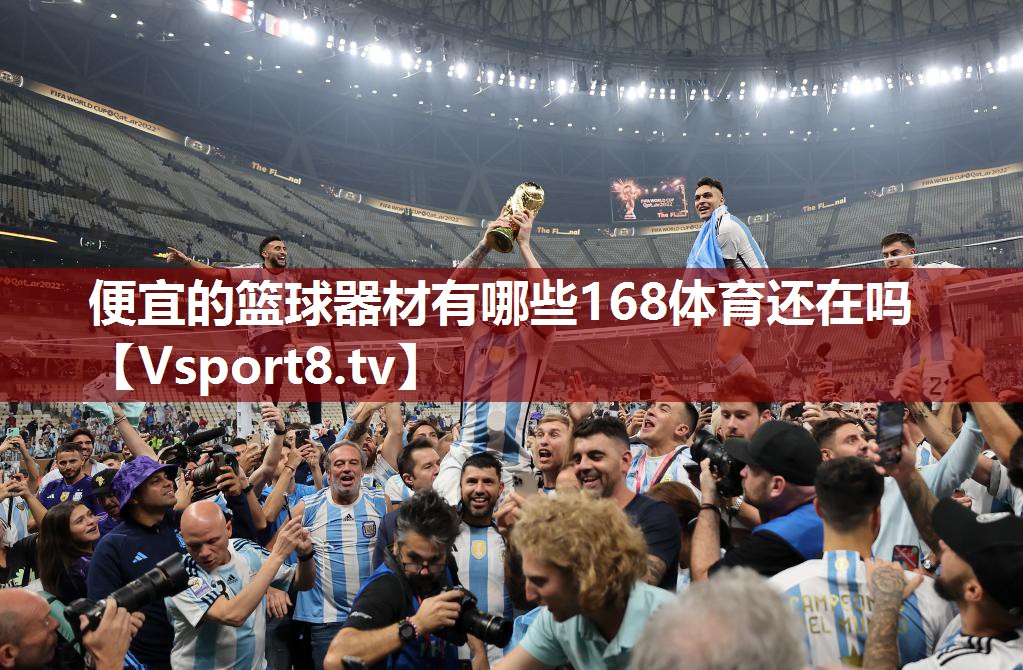 便宜的篮球器材有哪些168体育还在吗