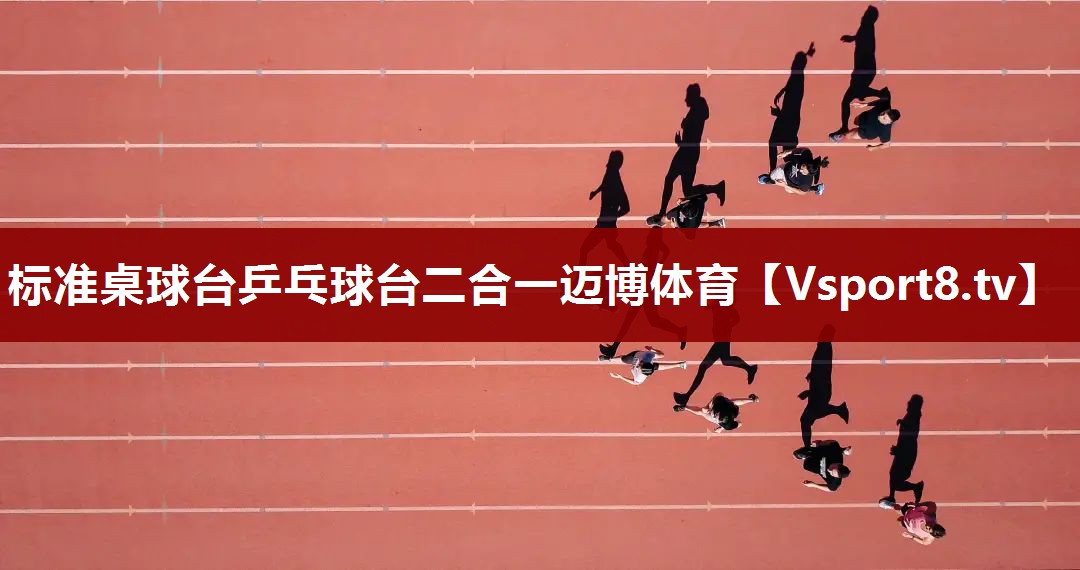 标准桌球台乒乓球台二合一迈博体育