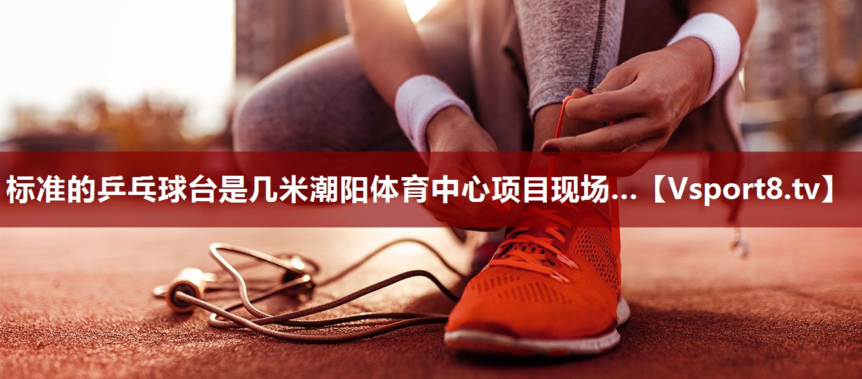 标准的乒乓球台是几米潮阳体育中心项目现场…