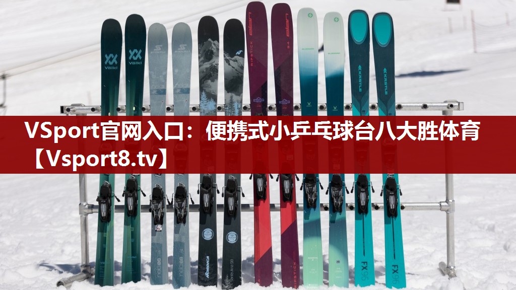 VSport官网入口：便携式小乒乓球台八大胜体育