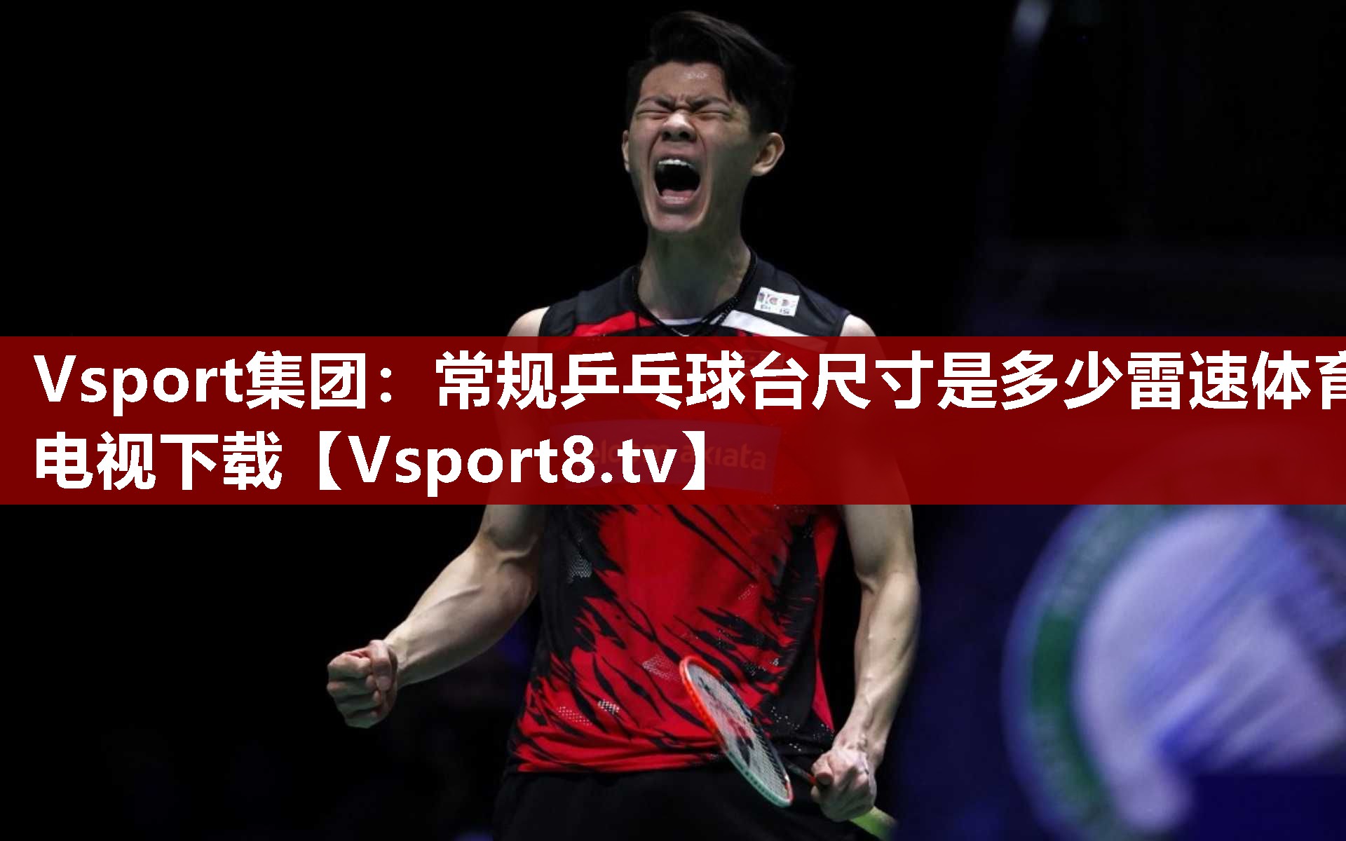Vsport集团：常规乒乓球台尺寸是多少雷速体育电视下载