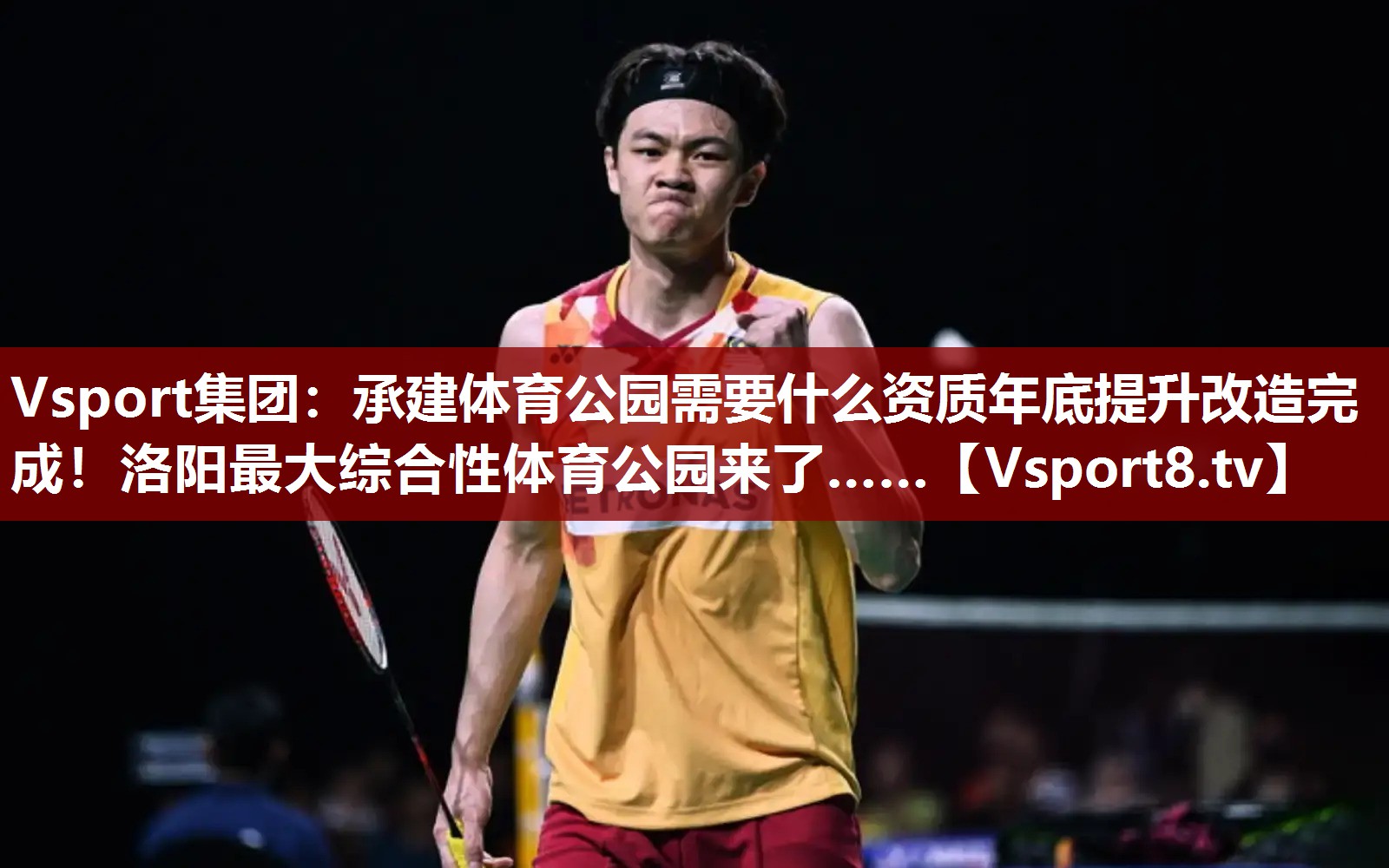 Vsport集团：承建体育公园需要什么资质年底提升改造完成！洛阳最大综合性体育公园来了……