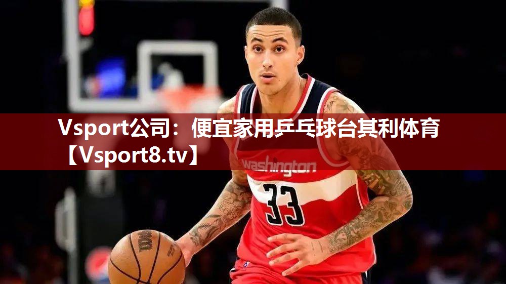 Vsport公司：便宜家用乒乓球台其利体育