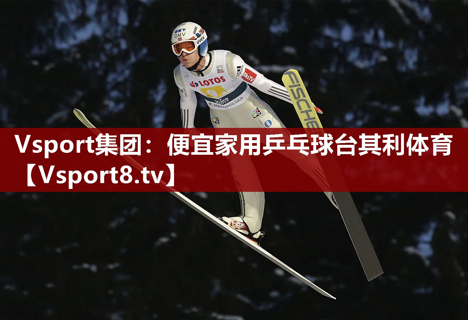 Vsport集团：便宜家用乒乓球台其利体育