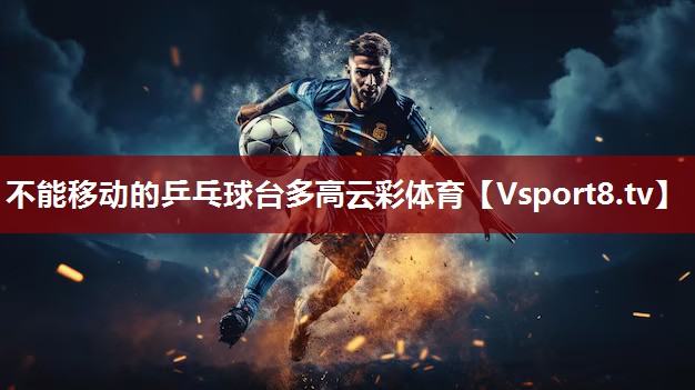 不能移动的乒乓球台多高云彩体育