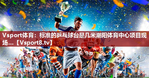 Vsport体育：标准的乒乓球台是几米潮阳体育中心项目现场…