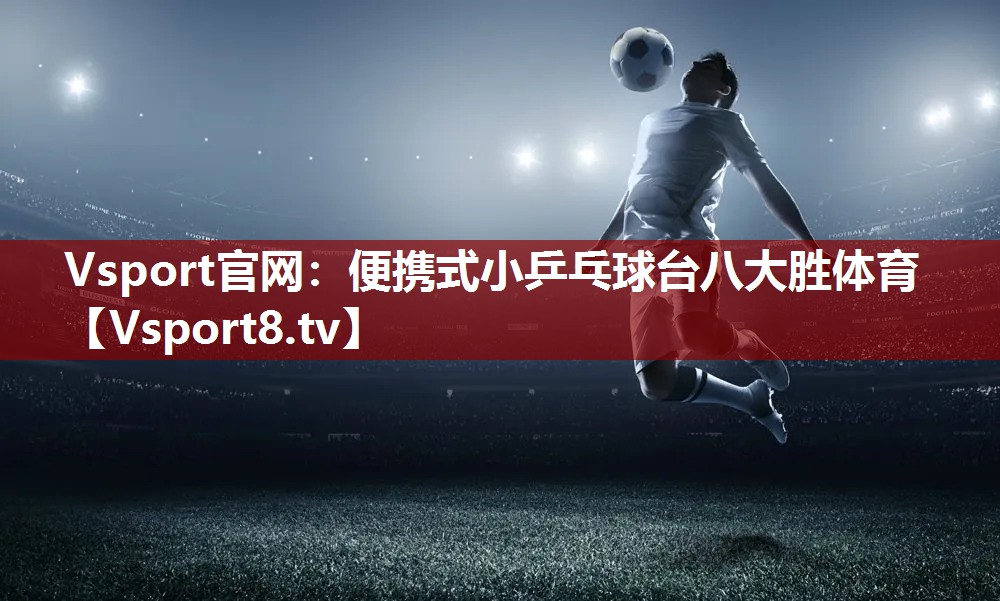 Vsport官网：便携式小乒乓球台八大胜体育