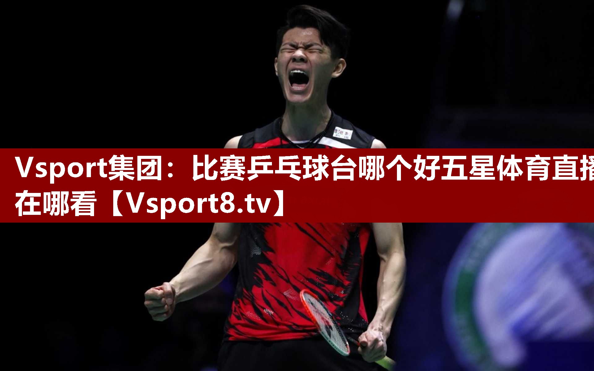 Vsport集团：比赛乒乓球台哪个好五星体育直播在哪看