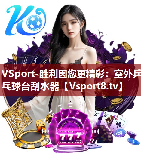 VSport-胜利因您更精彩：室外乒乓球台刮水器