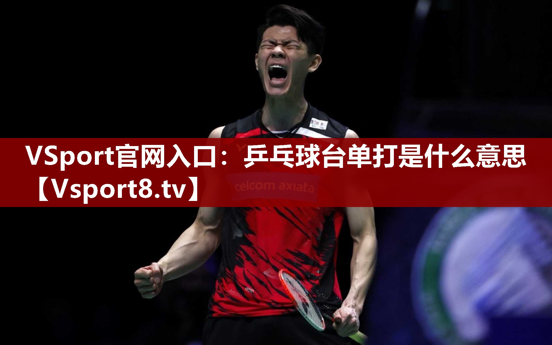 VSport官网入口：乒乓球台单打是什么意思