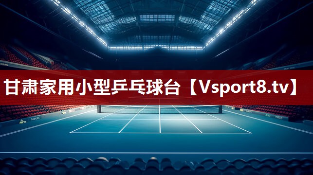 甘肃家用小型乒乓球台