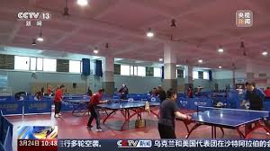 2026世界杯登录 尺寸乒乓球台