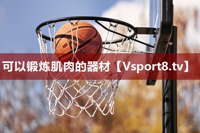 可以锻炼肌肉的器材
