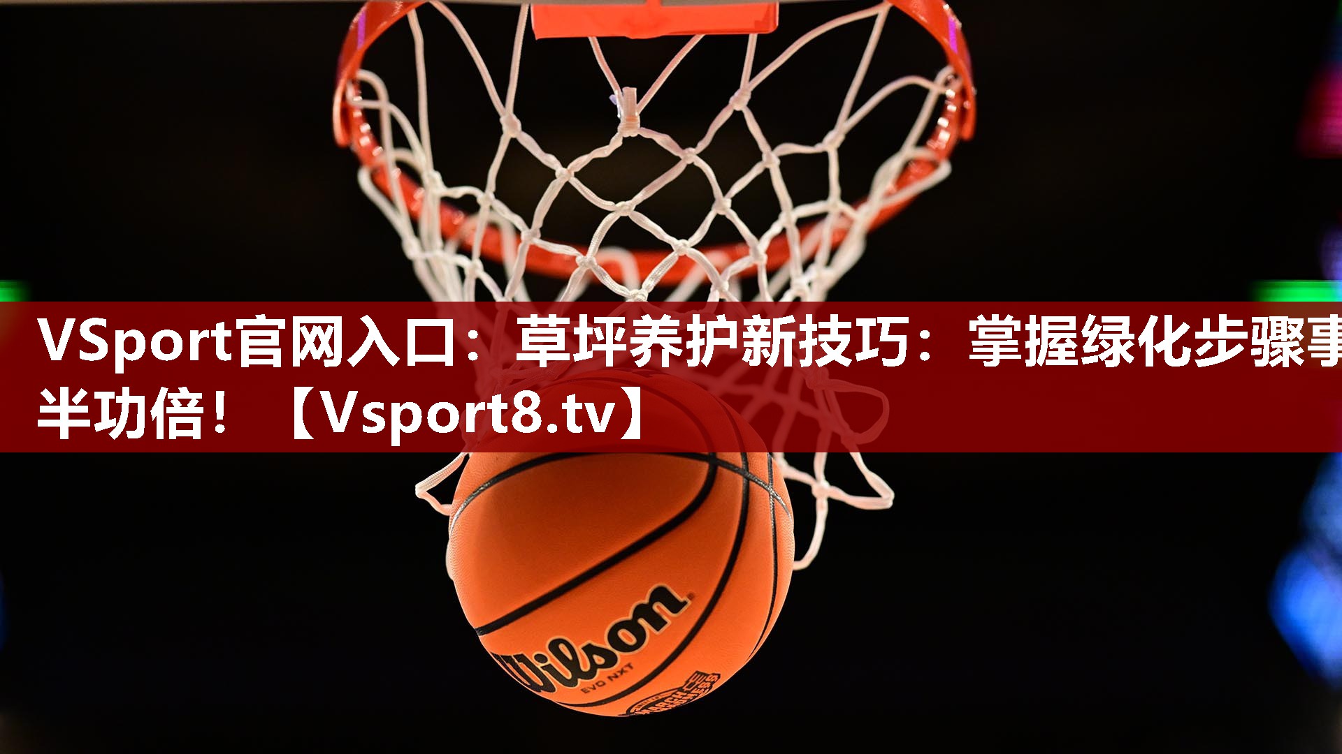 草坪养护新技巧：掌握绿化步骤事半功倍！