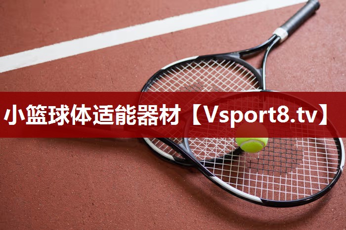 小篮球体适能器材
