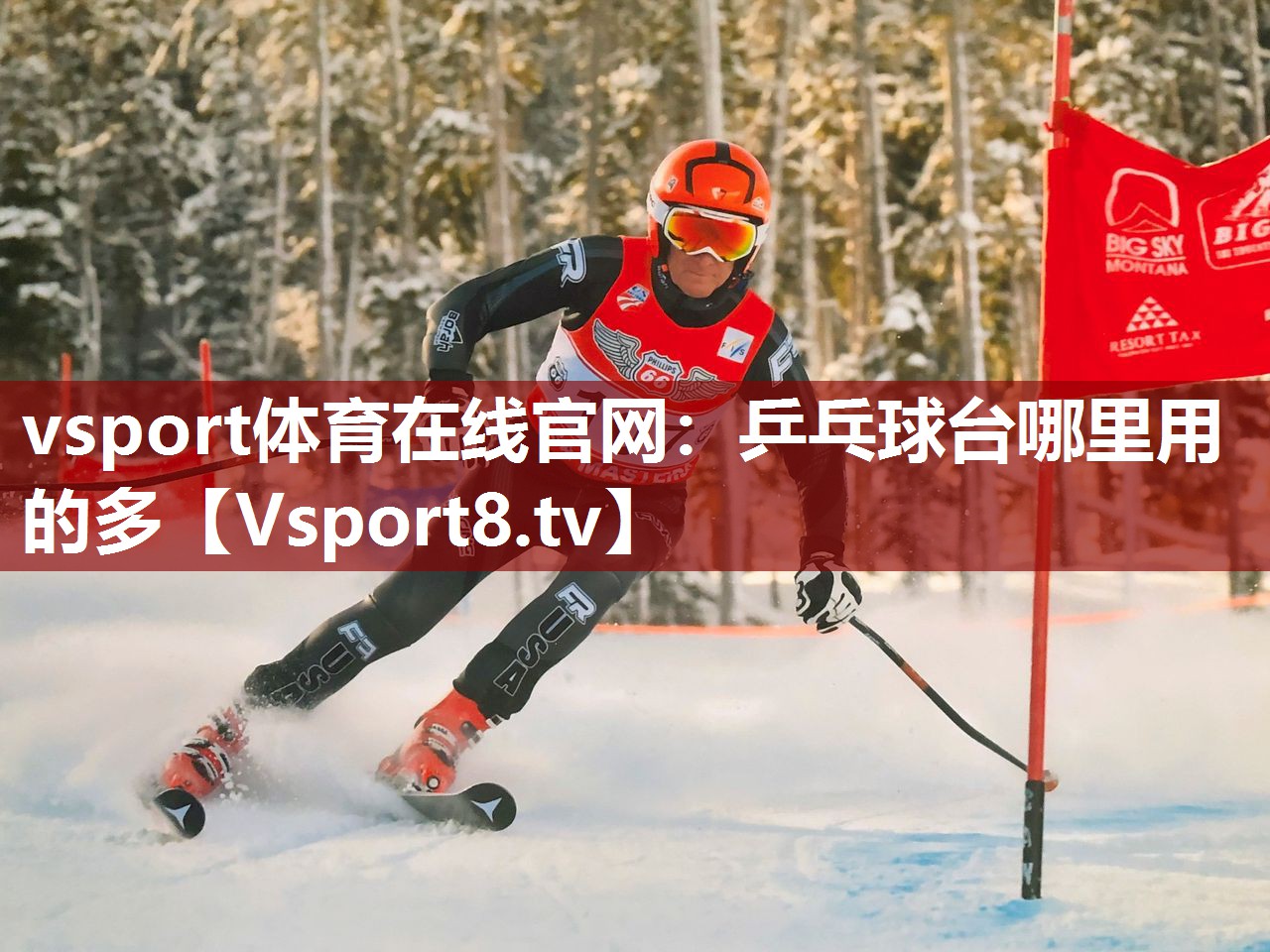 乒乓球台哪里用的多