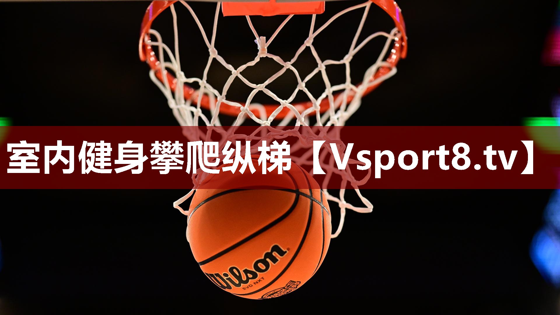 室内健身攀爬纵梯