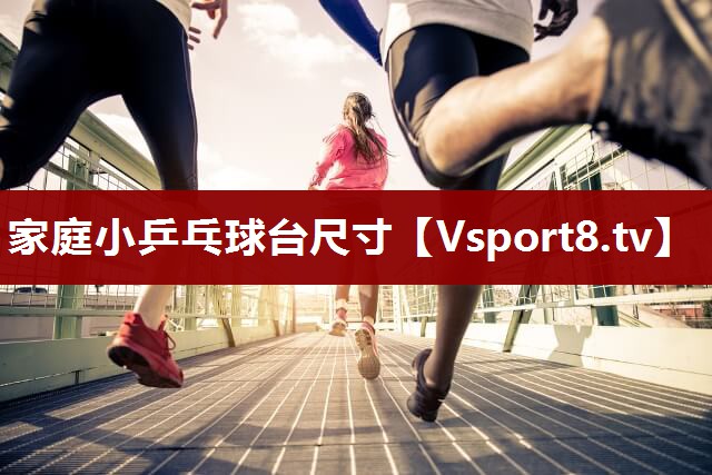 家庭小乒乓球台尺寸